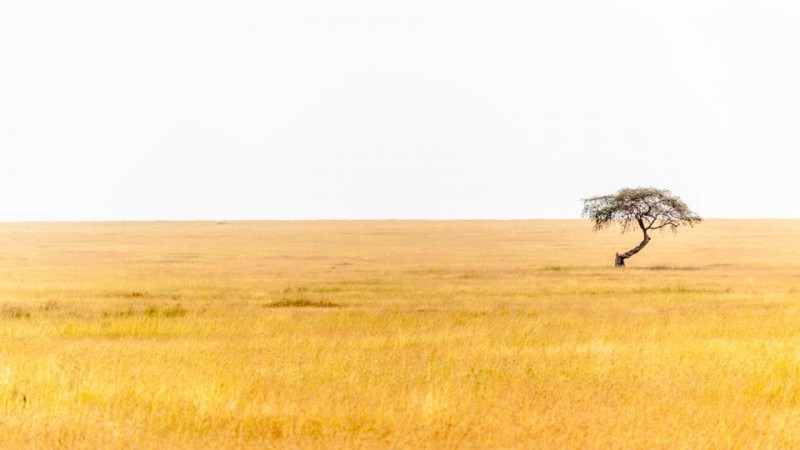 Serengeti National Park
